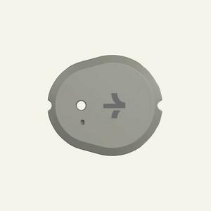 Stelo Glucose Biosensor